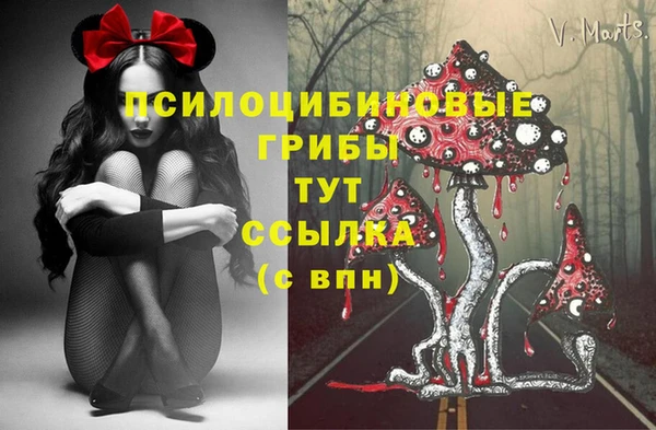 таблы Алексин