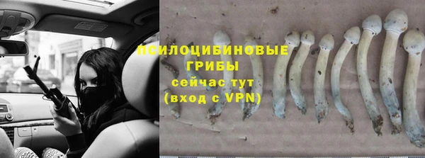 метадон Алексеевка