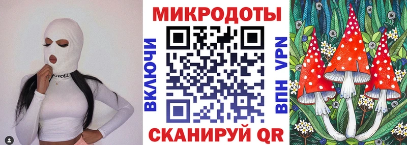 Псилоцибиновые грибы Psilocybe Орёл