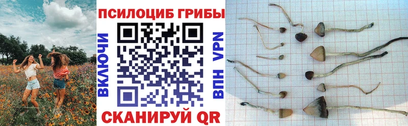 МЕГА ссылка  как найти закладки  Орёл  мориарти официальный сайт  Галлюциногенные грибы мухоморы 